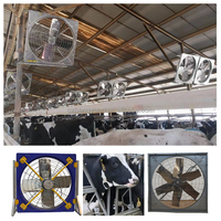 Ventilateur d'extraction à grand volume pour la circulation et le refroidissement des bâtiments d'élevage (vaches, veaux, abris, granges) - Équipement d'élevage