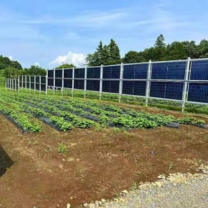 Sistema de montaje de valla solar vertical bifacial <span class=keywords><strong>para</strong></span> paneles fotovoltaicos Estante de tierra de fácil instalación <span class=keywords><strong>para</strong></span> uso en granja o jardín - Product Image 4