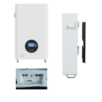 Alternative au Powerwall Tesla, batterie LiFePO4 48V 100Ah 200Ah 5kWh 10kWh, montage mural, ESS domestique, garantie 10 ans