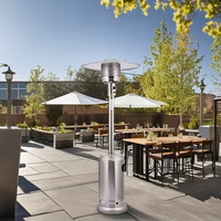 2025 Offre Spéciale Moderne Nouveau Style Pyramide Gaz Chauffage Extérieur avec Flamme En Acier Inoxydable Facile à Déplacer Cour Patio Chauffage Gaz