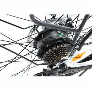 Vélo électrique en acier blanc à cadre courbé 36V 250W pour hommes et femmes, fabriqué en Chine - Product Image 4