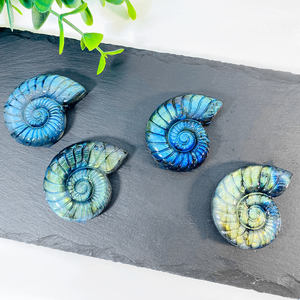Offre Spéciale : Coquille de Labradorite Naturelle en Forme d'Escargot, Artisanat en Cristal, Énergie Guérisseuse, Effet Bleu Scintillant, Idéale pour Cadeau - Product Image 2