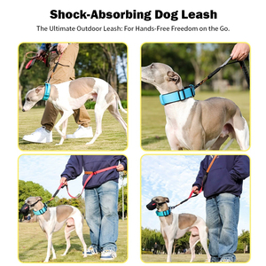 Toptan Yeni Tip Köpek Tasması Patlamaya Dayanıklı Yansıtıcı Elastik Evcil Hayvan Tasması Orta ve Büyük Boy Köpekler İçin Uygundur - Product Image 4