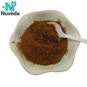 Food Grade Kuding folha ervas chá extrato pó 10:1 Ilex Kudincha polissacarídeos <span class=keywords><strong>Broadleaf</strong></span> azevinho folha extrato em pó - Product Image 3