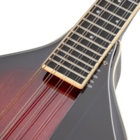 ARTINY Wholesale 2025 Hot Sale 8 Strings Mahogany Body High Quality Acoustic Mandolin