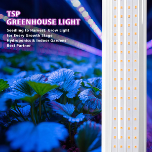 Lámpara <span class=keywords><strong>de</strong></span> Cultivo LED T20 <span class=keywords><strong>de</strong></span> Alta Eficiencia <span class=keywords><strong>para</strong></span> Cultivo Interior e Hidroponía - Product Image 2