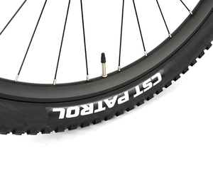 Bicicleta Eléctrica de Fábrica 2026, Precio Bajo, EM5-3rd, Nuevo Modelo con M430/500W/750W y M6100/12S, 29 Pulgadas, Aleación de Aluminio <span class=keywords><strong>ROCKSHOX</strong></span>, 960Wh, 48V20A - Product Image 4