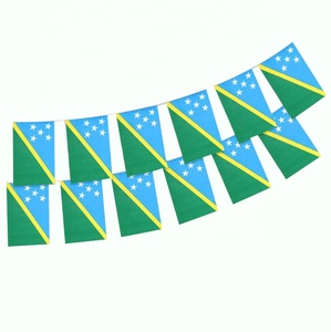 Materiale promozionale in poliestere 14*21 isole <span class=keywords><strong>Solomon</strong></span> string <span class=keywords><strong>flag</strong></span> <span class=keywords><strong>Solomon</strong></span> isole bandiere appese decorate bandiera stamina personalizzate - Product Image 1