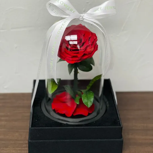 Rosas Preservadas Eternas Encantadas en Cúpula de Cristal con Luz LED, Flores Preservadas para Siempre - Product Image 2