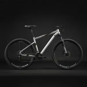 Yüksek kalite ucuz fiyat bisiklet iskeleti alüminyum mtb 29 bicicleta dağ bisikleti