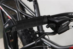 Bicicleta de Montaña de 20 Pulgadas con Portaequipajes Trasero Integrado, Neumáticos Anchos, Cuadro de Acero al Carbono, Horquilla con Resorte, Frenos de Disco Dobles, Capacidad de Carga de 150 kg - Product Image 4