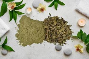 ผงกูดมาร์สมุนไพรป่า (จิมเนมา) สารสกัดสมุนไพรธรรมชาติ ผงละเอียด วัตถุดิบแปรรูปสะอาด บรรจุภัณฑ์ขนาดใหญ่ - Product Image 3