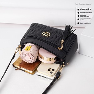 Haut <span class=keywords><strong>de</strong></span> gamme Mini bandoulière en cuir souple sac <span class=keywords><strong>de</strong></span> messager femmes d'âge moyen Niche <span class=keywords><strong>gland</strong></span> broderie décoration étanche fermeture éclair - Product Image 3