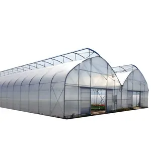 Top Quality Film Vagina Greenhouse Farming Agricultural Poly House