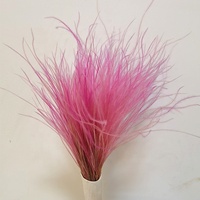 Bán Buôn Hoa Khô Feather Grass Bất Tự Nhiên Bảo Quản Feather Grass Đối Với Trang Trí Nội Thất