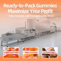 Ligne de dépose automatique de bonbons gélifiés/gommeux CST GD300Q avec machine à fabriquer des biscuits par injection haute efficacité