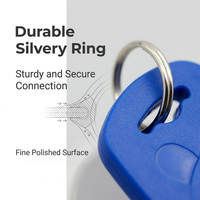 Mini Etiqueta NFC Programable y Reescribible de 13.56mhz, Llavero RFID ABS, Llavero RFID Personalizado, Etiqueta RFID para Llavero