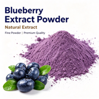 Groothandel Natuurlijk Wateroplosbaar Blauwe Bes Fruitextract Poeder voor Drank- en Bakkerijgrondstoffen