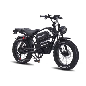 Vélos <span class=keywords><strong>électrique</strong></span>s : Modèles à suspension, à moteur, à charge rapide, de type chaise, pour la ville et l'aventure, style chinois - Product Image 1