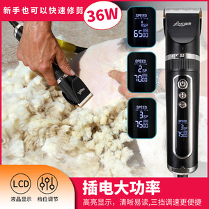 เครื่องตัดขนสัตว์แบบมีสาย Lime Professional กำลังไฟสูง 200 วัตต์ พร้อมไฟ LED สำหรับสุนัขและกระต่าย - Product Image 5