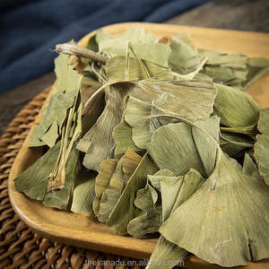 Лист гинкго, китайская оптовая продажа, органический фолиевый гинкко Инь Син Йе, используемый для травяного чая/экстракта/таблеток/порошка - Product Image 2