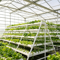 Grande serre en forme de A, système hydroponique NFT avec canaux en PVC, système hydroponique en A pour la culture agricole