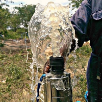 Pompa Air Celup Sumur Dalam 2QGD1-50-0.37 Pompa Air Limbah Pompa Air 150 Nhw20