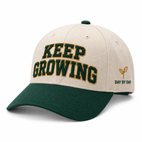 Casquettes de baseball personnalisées avec logo brodé pour événements promotionnels, cadeaux d'entreprise, équipement de travail pour équipes, marchandises, commande en gros