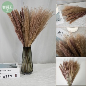 <span class=keywords><strong>Mini</strong></span> <span class=keywords><strong>bouquet</strong></span> de <span class=keywords><strong>fleurs</strong></span> <span class=keywords><strong>séchées</strong></span> gypsophile naturelles, vente en gros, bon marché - Product Image 2