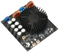 Carte amplificateur HiFi numérique Mono haute puissance OEM TPA3255 600W module amplificateur audio haute fidélité classe D