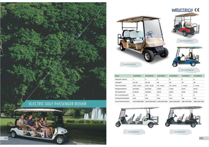 Voiturette de golf électrique 6 places, haute stabilité, usage commercial, batterie sans entretien, certifiée CE, autonomie 90 km+ - Product Image 6
