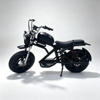 Moto électrique pour adultes, vélo électrique à batterie lithium, longue portée, haute puissance, vélo électrique puissant