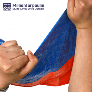 <span class=keywords><strong>Lona</strong></span> <span class=keywords><strong>de</strong></span> Polietileno Impermeable MILLION, Fabricada en China, <span class=keywords><strong>Lona</strong></span> <span class=keywords><strong>de</strong></span> Polietileno con Protección UV, Lámina <span class=keywords><strong>de</strong></span> Plástico para Cubiertas Industriales - Product Image 3
