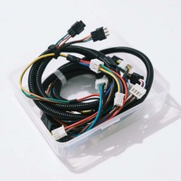 Arnés de Cableado Personalizado con Núcleo de Cobre y Revestimiento de Nailon/PVC, Cables Multicolores, Conectores Adaptadores para Aplicaciones Electrónicas