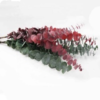 Daun Eucalyptus Awet Terlaris untuk Dekorasi Pernikahan & Wisuda, Halloween, Rumah, Lampu LED Tahan Air, Tahan Lama