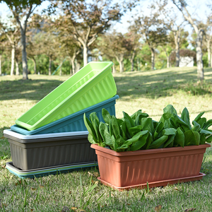 Jardinière <span class=keywords><strong>rectangulaire</strong></span> en <span class=keywords><strong>plastique</strong></span> pour pépinière de jardin à prix abordable - Product Image 2