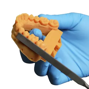 Acme diş modeli 3d baskı reçine güvence protez baz diş 405nm uv kür lcd DLP için 3d yazıcı