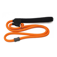 Laisse de chien en nylon souple et résistante, anti-traction, avec poignée rembourrée