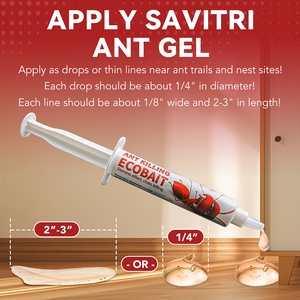 10g d'appâts en gel pour fourmis à usage intérieur et extérieur efficace pour la plupart des espèces de fourmis majeures - Product Image 3