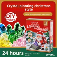 Kit d'expériences scientifiques DIY pour la culture de cristaux, pour les 0-3 mois, activité chimique parent-enfant, matériau plastique, cadeau de Noël