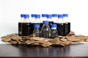Aceite Esencial de Agarwood de Sumatra Puro y Natural para Aromaterapia y Meditación - Product Image 6