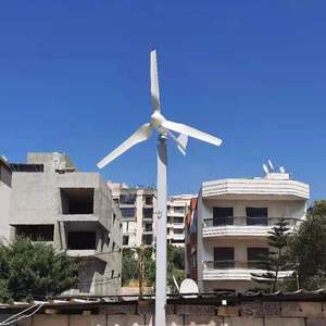 Home Use 24V 48V 1000w <strong>Horizontal</strong> <strong>Axis</strong> <strong>Wind</strong> <strong>Turbine</strong> <strong>Generator</strong> <strong>Supplier</strong> - Product Image 4