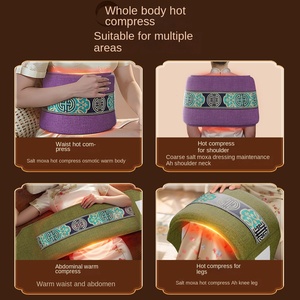 Ceinture chauffante électrique à brancher pour massage corporel, avec sac <span class=keywords><strong>de</strong></span> sel marin, compresse chaude, pochette <span class=keywords><strong>de</strong></span> sel grossier et sac <span class=keywords><strong>de</strong></span> moxibustion, pour épaules et colonne cervicale - Product Image 2