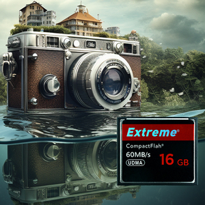 <span class=keywords><strong>CompactFlash</strong></span> ช่างภาพมืออาชีพ<span class=keywords><strong>4GB</strong></span> UDMA 60เมกะไบต์/วินาทีคลาส10การ์ดหน่วยความจำอินเตอร์เฟซ SD เข้ากันได้กับโทรศัพท์กล้องผู้ใช้ - Product Image 3