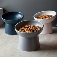 Ergonomischer, langlebiger Keramik-Futter- und Wassernapf für Katzen und Hunde – Neigbares Design für Nackenkomfort, erhöhte Futterstation, tragbare Lösung für den Innenbereich