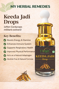 Keeda Jadi Drops, formule d'extrait de plantes médicinales premium pour l'énergie quotidienne, la résistance, un style de vie actif et un soutien naturel de la vitalité, 30 ml - Product Image 5