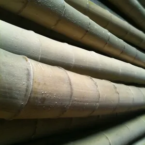 Alta Qualidade Fabricante Outdoor Decoração Big Natural Raw Bamboo Pole