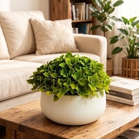 Pot de fleurs cylindrique, en plastique PP avec texture gaufrée, procédé de moulage direct, pour la décoration de bureau intérieure
