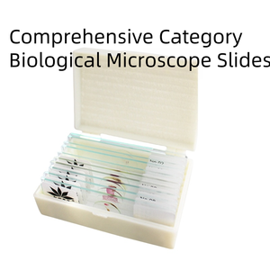 Lames de microscope préparées de haute qualité et au meilleur prix pour la science médicale et la biologie, spécimens de tubules de Malpighi du ver à soie - Product Image 4