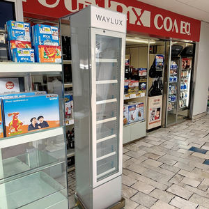 <span class=keywords><strong>Mini</strong></span> réfrigérateur à compresseur Portable rétro prise britannique refroidisseur de réfrigération rétro sans gel pour régime pour bureau voiture hôtel pour Coke - Product Image 2